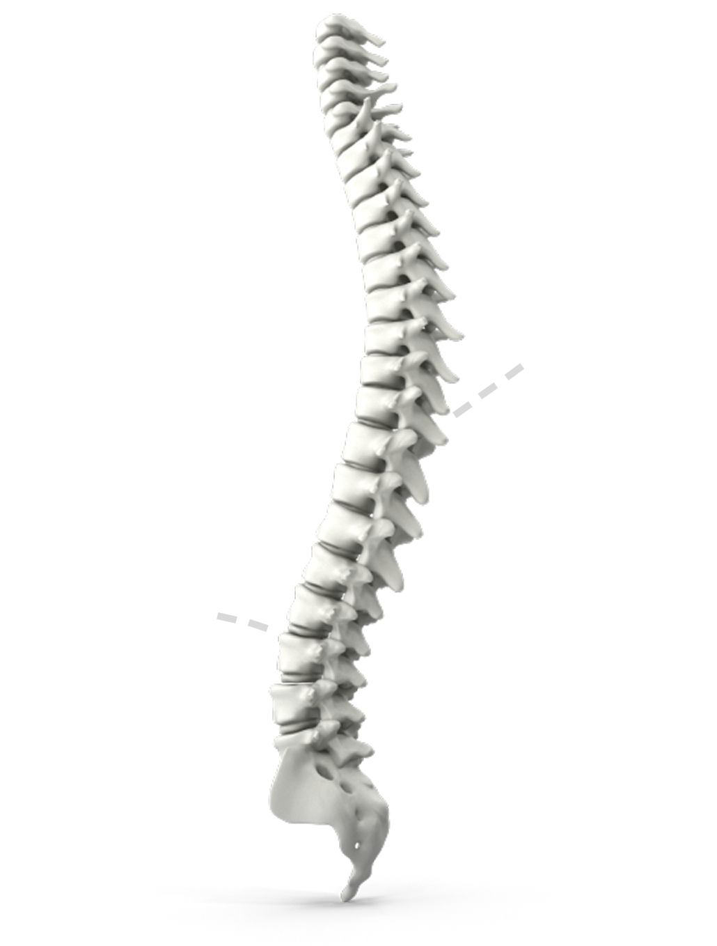 Magichands requests to keep your spine healthy